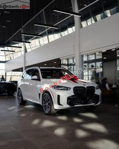 BMW X5 xDrive40i M Sport 2025 - ảnh 3