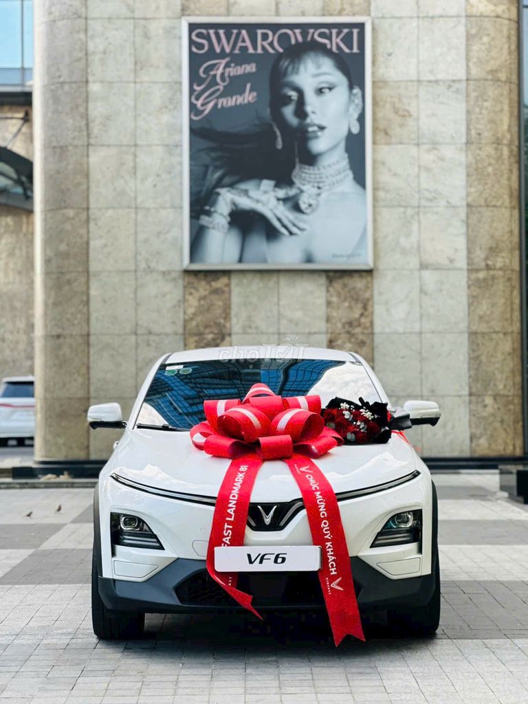 VinFast - ảnh 2