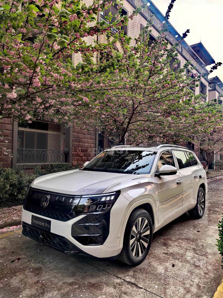 Volkswagen Teramont - ảnh 1