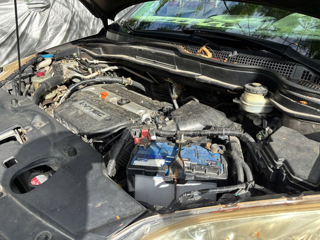 Honda 2011 - ảnh 4