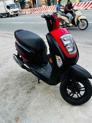 Xe m 2025 - ảnh 1