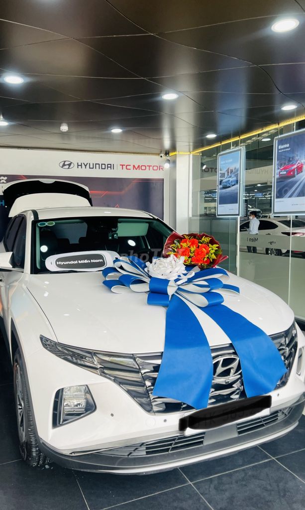 Hyundai 2023 - ảnh 1