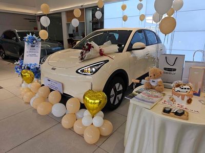 Geely EX2 - ảnh 1