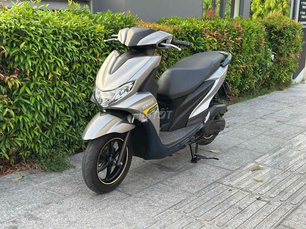 Yamaha FreeGo 2019 - ảnh 1