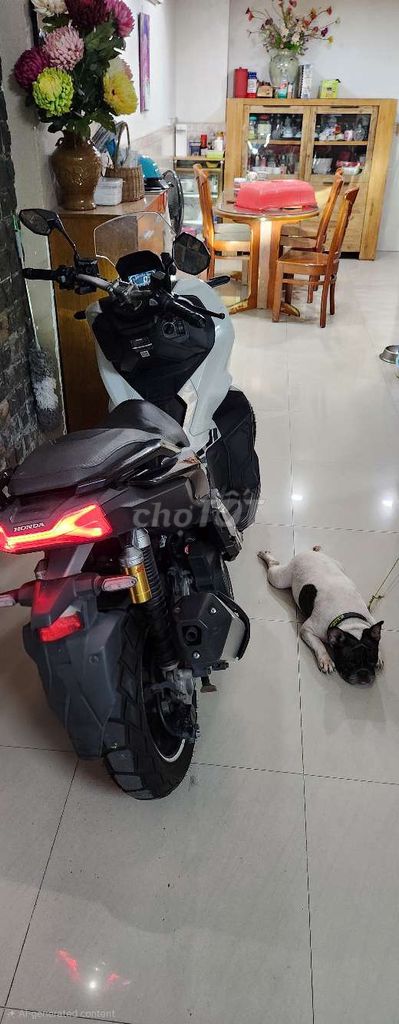 Honda ADV 2020 - ảnh 4