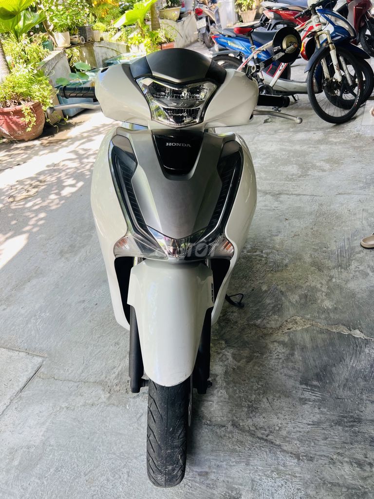 Honda SH 2019 - ảnh 3