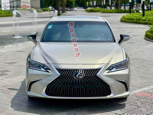 Lexus ES 250 2019 - ảnh 1