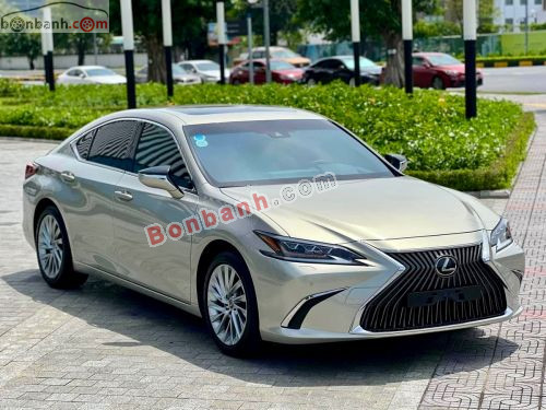 Lexus ES 250 2019 - ảnh 2
