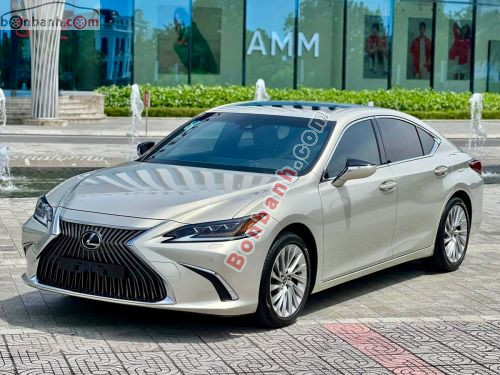 Lexus ES 250 2019 - ảnh 3