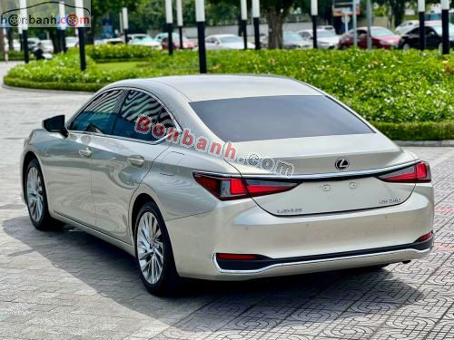 Lexus ES 250 2019 - ảnh 4