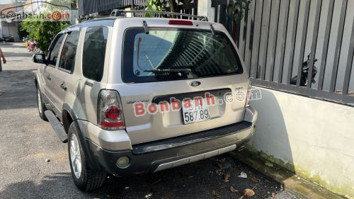 Ford Escape 2007 - ảnh 4