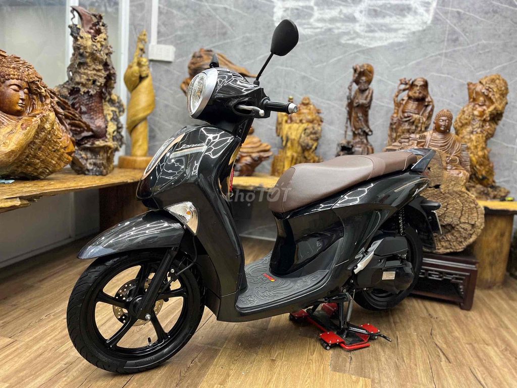 Yamaha Janus 2023 - ảnh 1