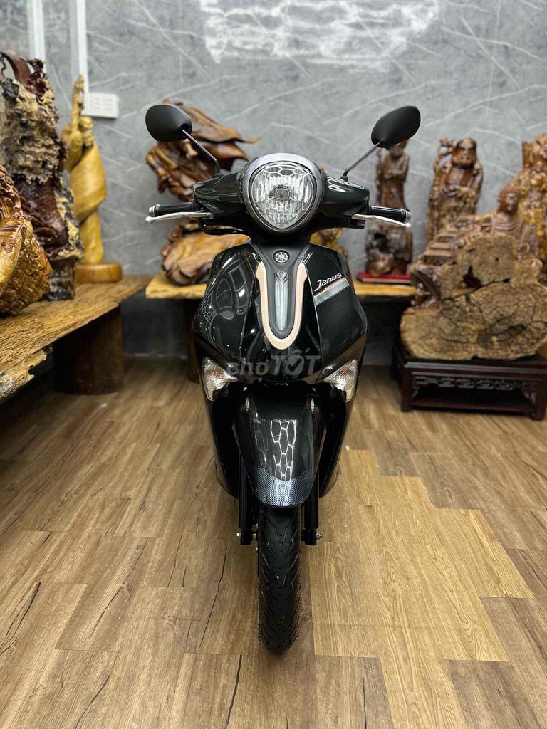 Yamaha Janus 2023 - ảnh 3