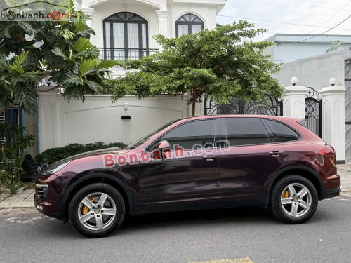 Porsche 2010 - ảnh 3