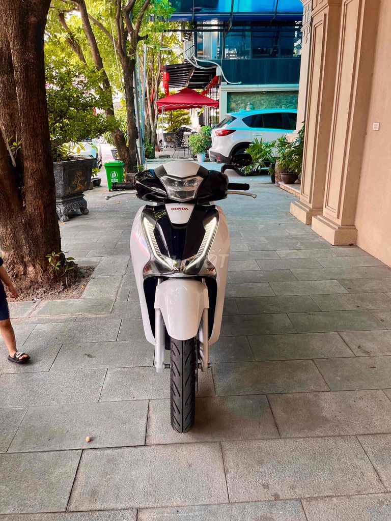 Honda SH 2017 - ảnh 3