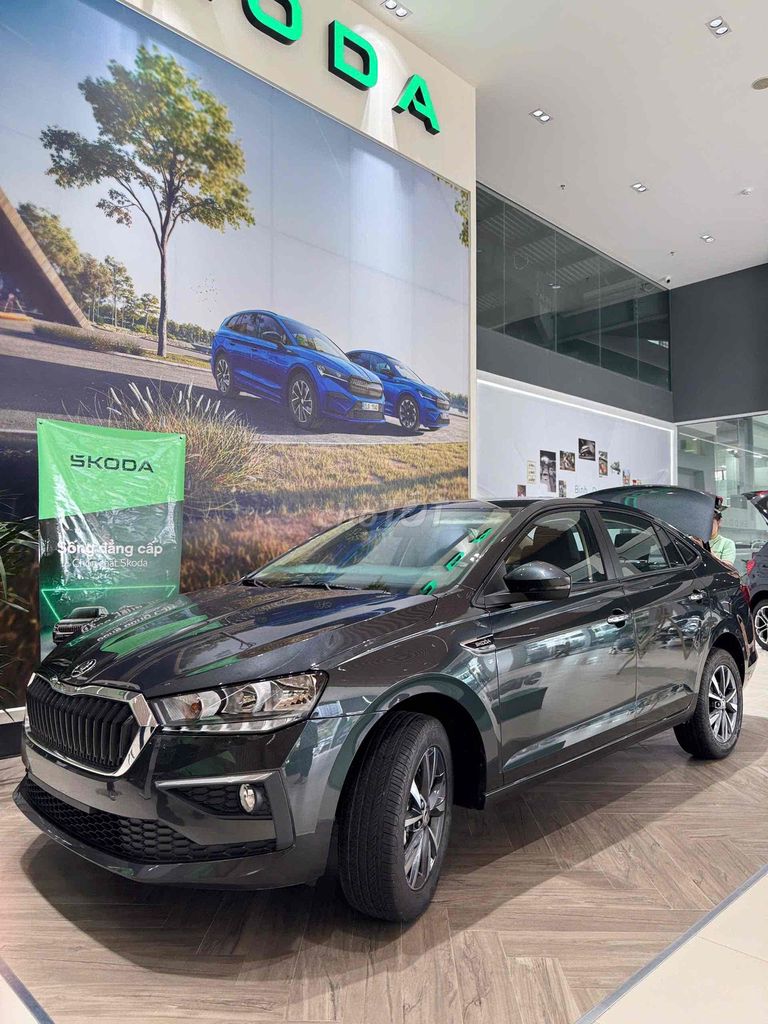 Skoda - ảnh 2