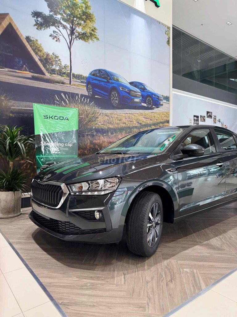 Skoda - ảnh 5