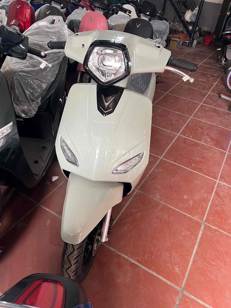 Xe m 2025 - ảnh 2