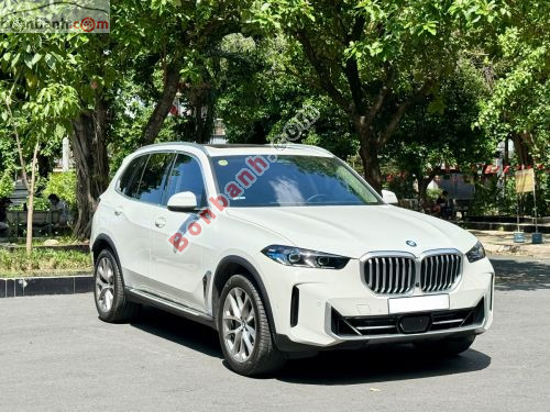 BMW X5 xDrive40i xLine 2024 - ảnh 2