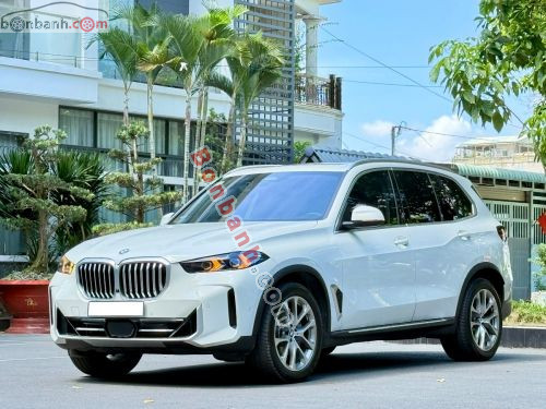BMW X5 xDrive40i xLine 2024 - ảnh 3