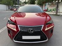 Lexus NX 300 2019 - ảnh 1