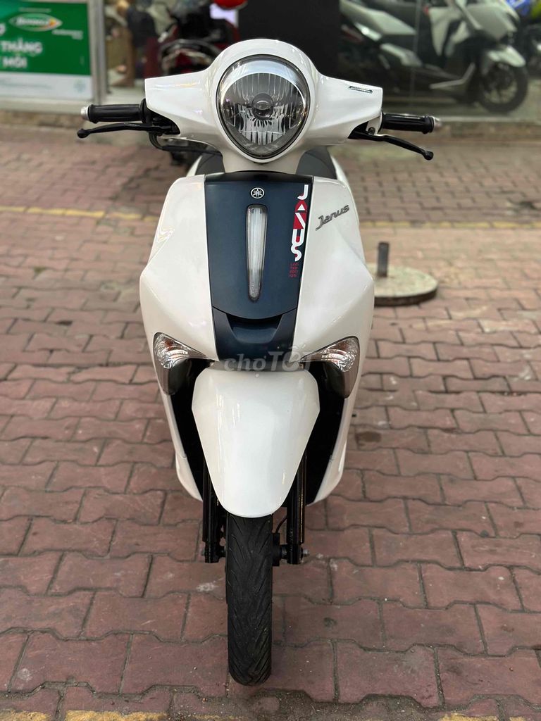 Yamaha 2019 - ảnh 1