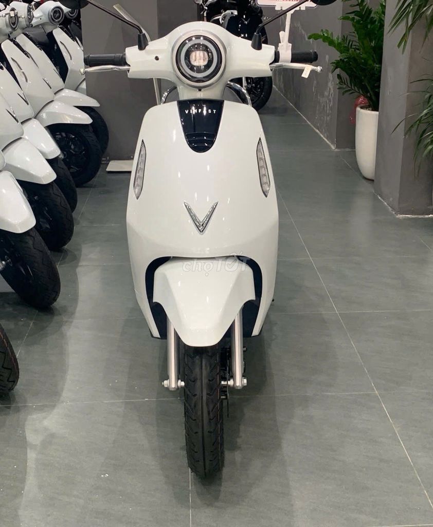 XE M 2026 - ảnh 1