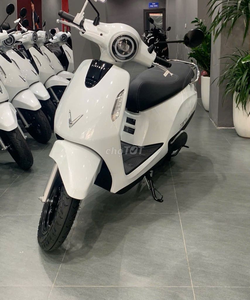 XE M 2026 - ảnh 2