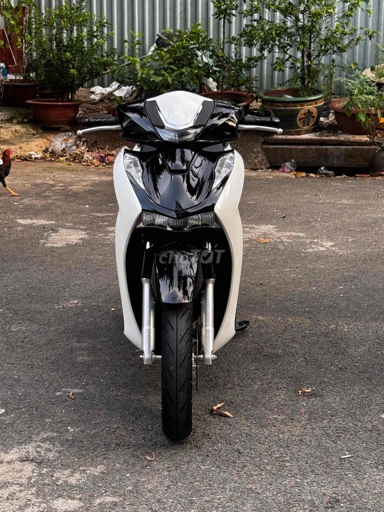 Honda SH 2021 - ảnh 2