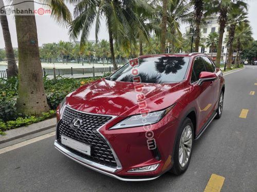 Lexus RX 300 2022 - ảnh 2