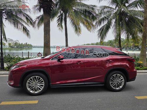 Lexus RX 300 2022 - ảnh 3