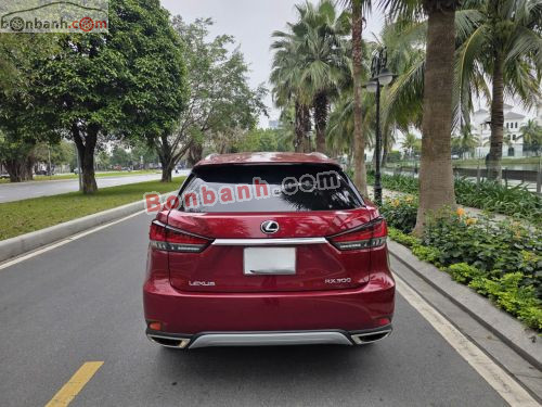 Lexus RX 300 2022 - ảnh 5