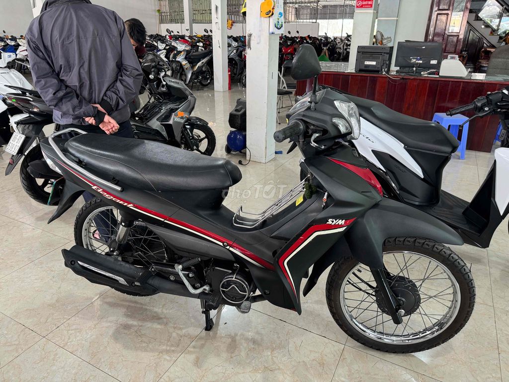elegant 2019 - ảnh 1