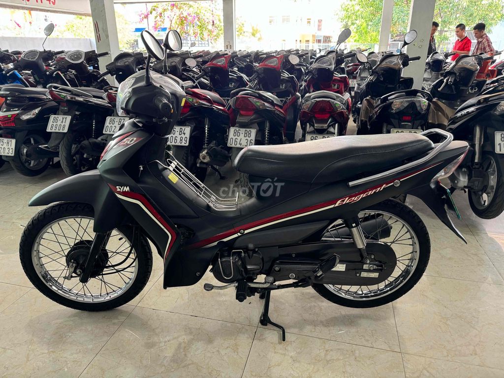 elegant 2019 - ảnh 3