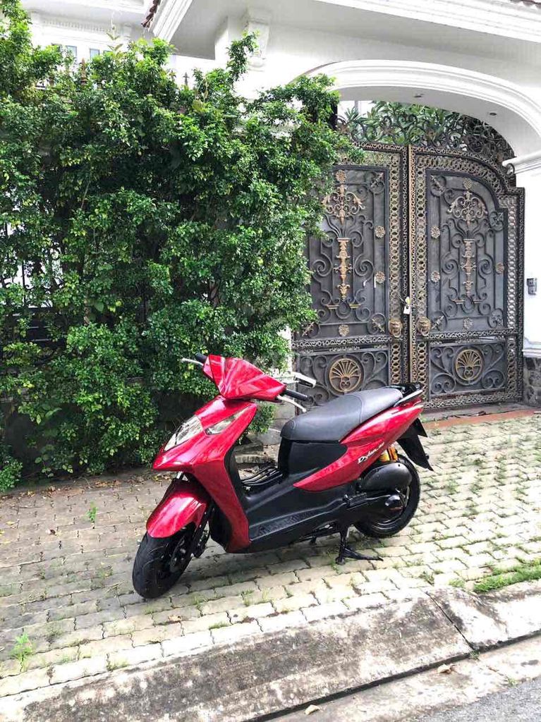 Honda Dylan 2004 - ảnh 2
