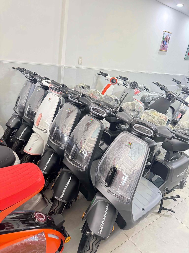 Xe m 2026 - ảnh 1