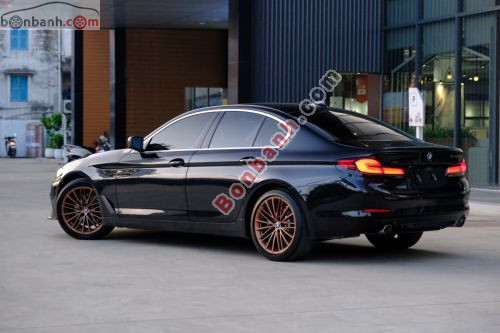 BMW 5 Series 520i 2018 - ảnh 2