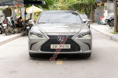 Lexus ES 250 2018 - ảnh 1