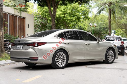 Lexus ES 250 2018 - ảnh 3