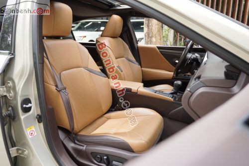 Lexus ES 250 2018 - ảnh 5