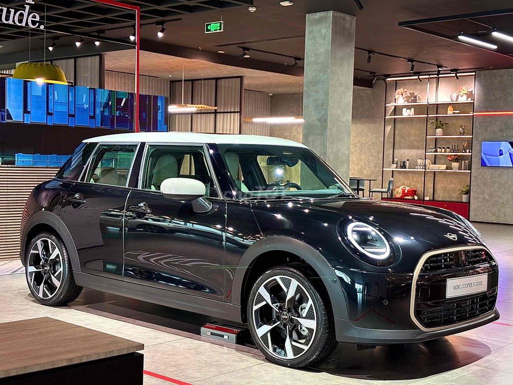 MINI - ảnh 1