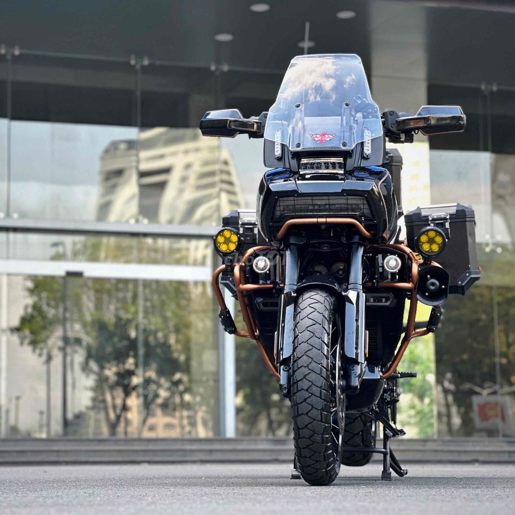 Harley 2021 - ảnh 1