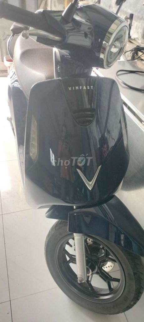 Xe m 2025 - ảnh 1