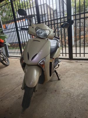 Honda Lead 2010 - ảnh 1