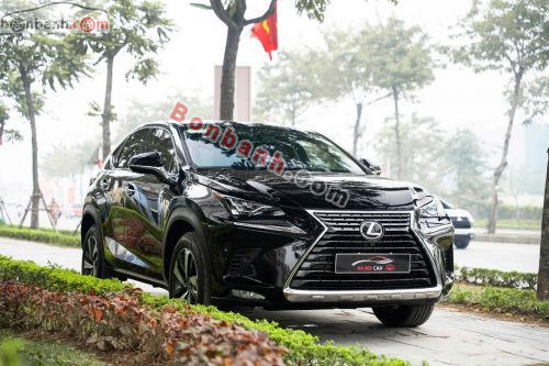 Lexus NX 300 2019 - ảnh 2