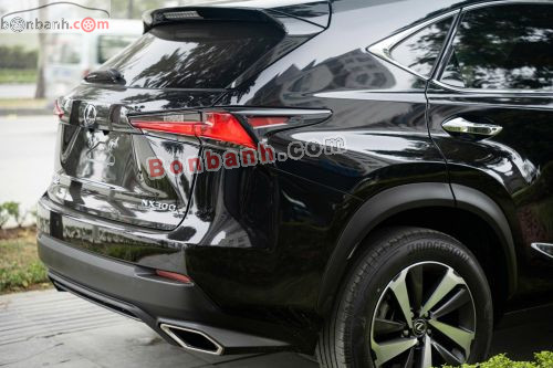 Lexus NX 300 2019 - ảnh 5
