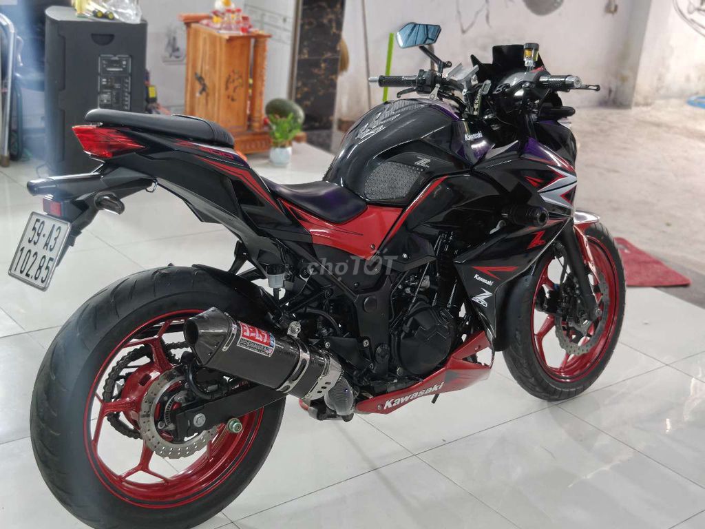 Z 2017 - ảnh 5