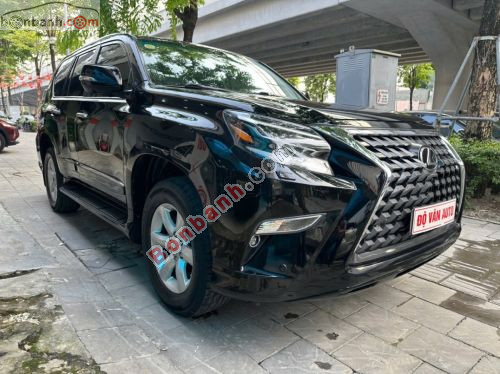 Lexus GX 460 2010 - ảnh 2