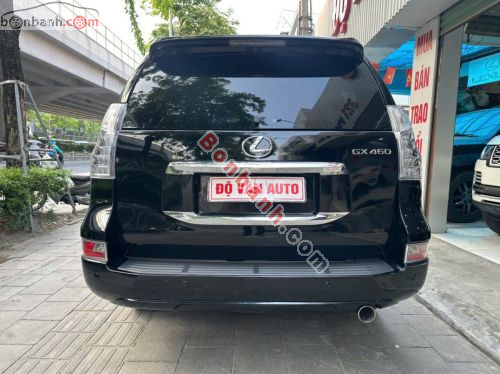 Lexus GX 460 2010 - ảnh 4