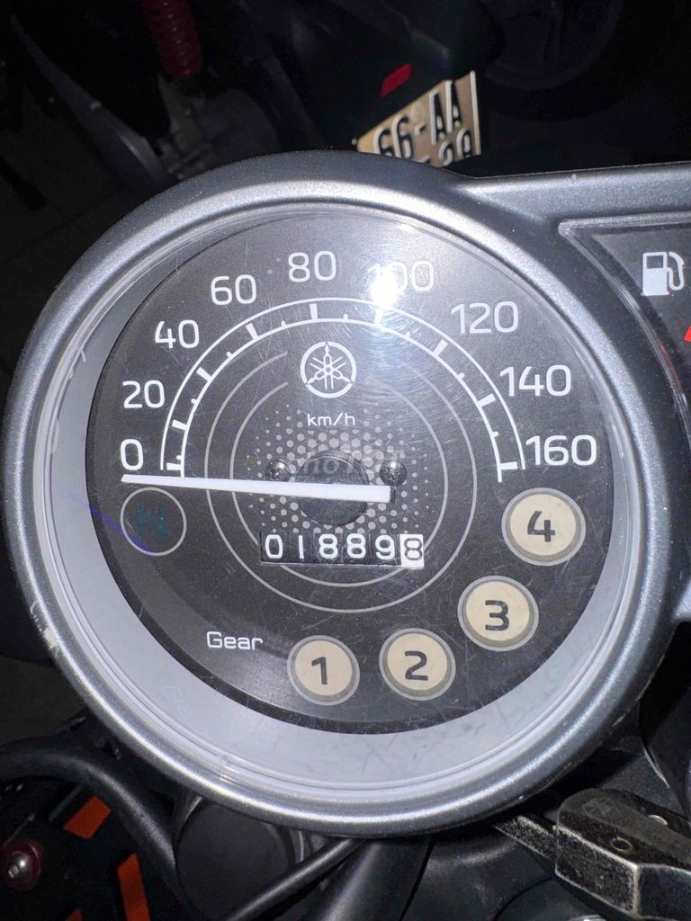 Yamaha PG 2024 - ảnh 5
